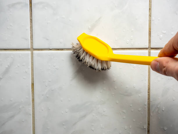 Best Attic Mold Removal  in Delmont, PA