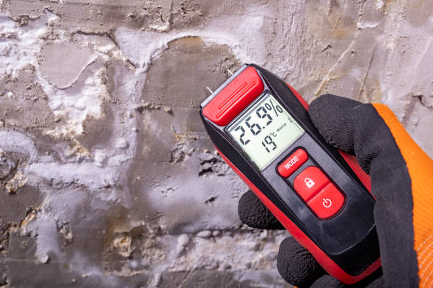 Best Mold Cleaning Services  in Delmont, PA