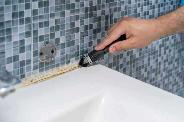 Best Black Mold Removal  in Delmont, PA